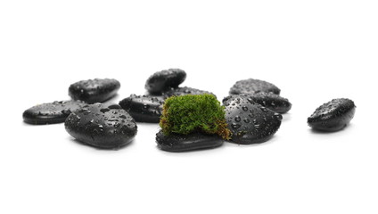 Fototapeta na wymiar Green wet moss with black spa rocks and drops of water isolated on white background