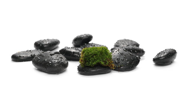 Green wet moss with black spa rocks and drops of water isolated on white background