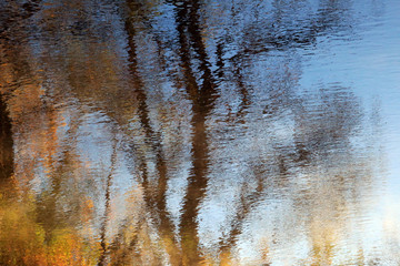 Naklejka premium golden autumn on the river