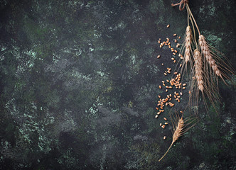Wheat grains and spikelets on rusty background. 