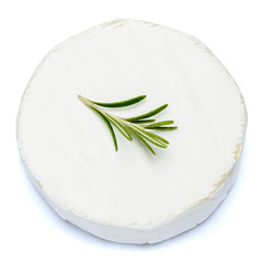 Round brie or camambert cheese on a white background