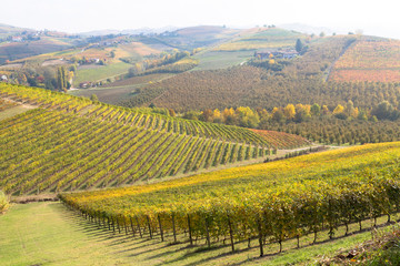 The land of Wine