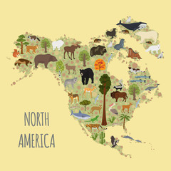 North America flora and fauna map, flat elements. Animals, birds and sea life big set. Build your geography infographics collection