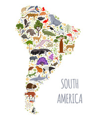 South America flora and fauna map, flat elements. Animals, birds and sea life big set. Build your geography infographics collection