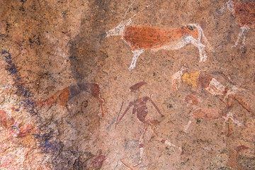 Bushmen rock paintings in the  Brandberg massif area, Namibia