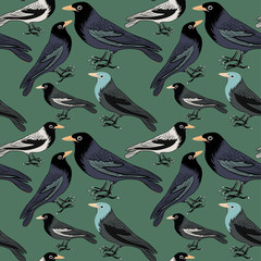 Collection of blue, grey and white birds. Seamless pattern. Vector illustration on green background