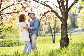 Fototapeta premium Beautiful senior couple in love outside in spring nature.