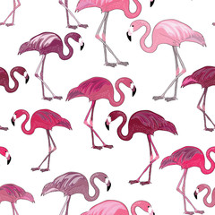Obraz premium Pink flamingos seamless pattern. Vector illustration on white background