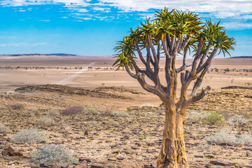 Fototapeta na wymiar Georgeous desert landscapes on the road in the Nambib desert, between Sossusvlei and Swakopmund, Namibia