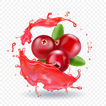 Cranberry In Juice Splash Realistic Vector Illustration