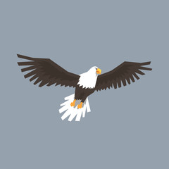 North American Bald Eagle flying, symbol of freedom and independence vector illustration