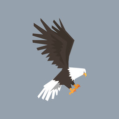 North American Bald Eagle, symbol of freedom and independence vector illustration