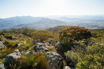 Fototapeta na wymiar On the summit in Mt Maroon,Mount Barney National Park,QLD,Australia