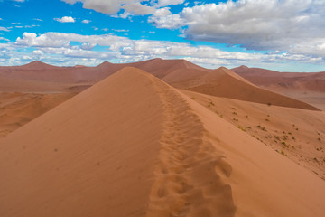 Hiking Big Daddy, among the world's tallest dunes near Sossusvlei in the Namib-Naukluft National...