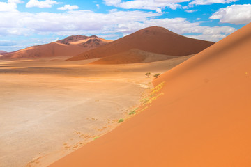 Fototapeta na wymiar Hiking Big Daddy, among the world's tallest dunes near Sossusvlei in the Namib-Naukluft National Park of Namibia.
