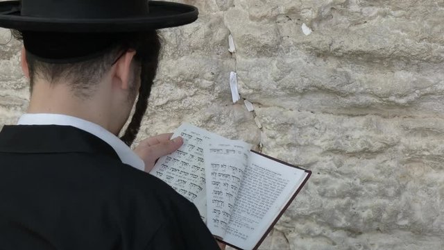 close up of a jewish man worshiping with a prayer book at the western wall in jerusalem, israel