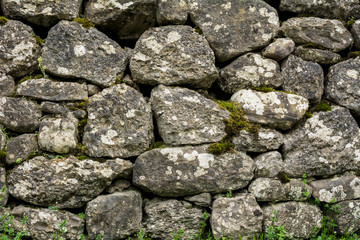 Natural stone wall with green vegetation, small flowers and moss