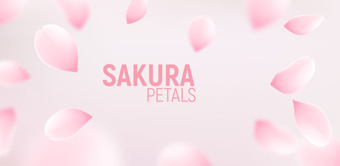Pink sakura petals falling flower vector background. Romantic blossom sakura flower petals © kolonko