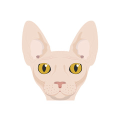 Sphynx cat isolated on white background vector illustration