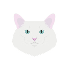 Turkish Angora cat isolated on white background vector illustration