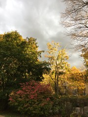 Fall sun and storm sky