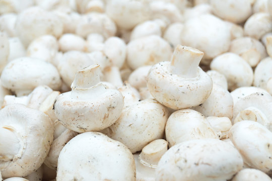 mushrooms champignons in boxes on the market