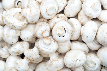 mushrooms champignons in boxes on the market