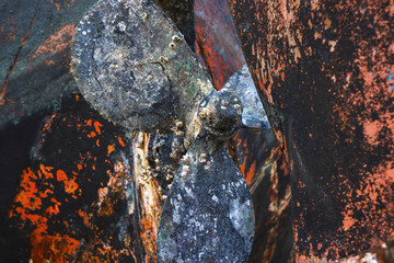 Close up image on rusty and blue ship propeler