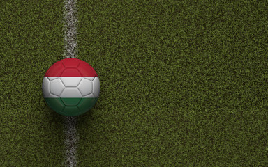 Hungary flag football on a green soccer pitch. 3D Rendering