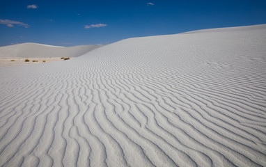 Fototapeta na wymiar Gypsum Dunes at White Sands in New Mexico