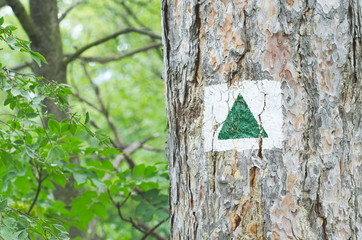 Fototapeta premium Green Triangle Tourist Sign