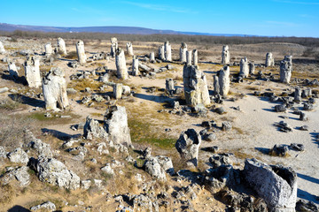 Pobiti Kamani, The Stone Forest Natural Reserve in Bulgaria