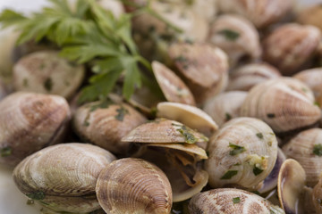 clams in very old plate