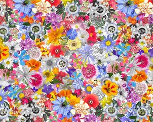 Colorful Background made with Mixed Flowers
