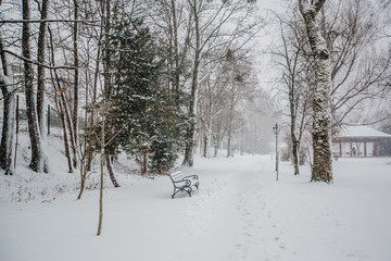 snow winter tegernsee bayern alps
