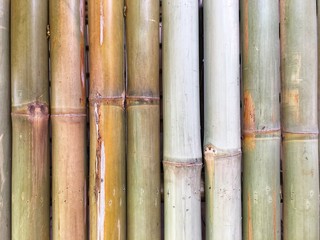 bamboo wall background wallpaper brown garden line jungle natural old decoration