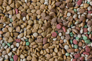 Dry pet food background.