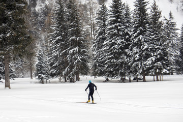 cross country skiing in alps