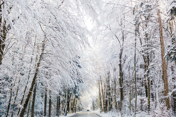 winter koenigssee bayern alps landscape