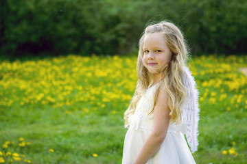 Fototapeta na wymiar Girl with angel wings on the background of nature.