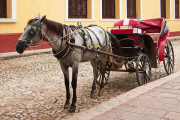 Naklejka na ściany i meble Horse carriage in Trinidad in Cuba 