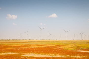 Wind farms generating electricity