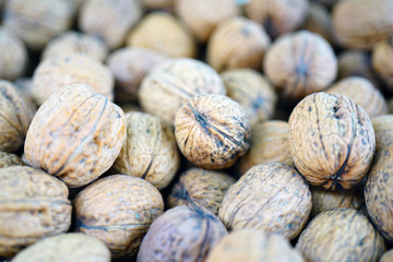 Fresh walnuts in the shell 