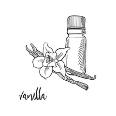Vanilla flower and bootle spicy