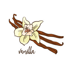 The Vanilla - flower and spicy