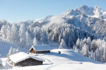 Fotobehang Winterwonderland in de Oostenrijkse Alpen. Prachtig winterlandschap met bevroren bomen en traditionele alpenhutten © Olha Sydorenko
