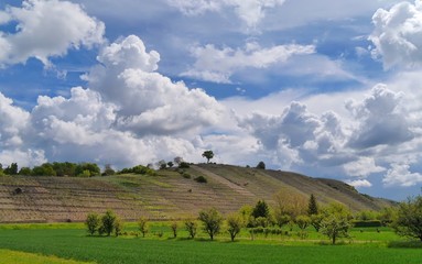 Obraz premium Neckartal