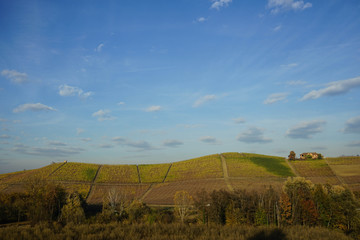 Fototapeta na wymiar Hills of the Langhe, Piedmont - Italy