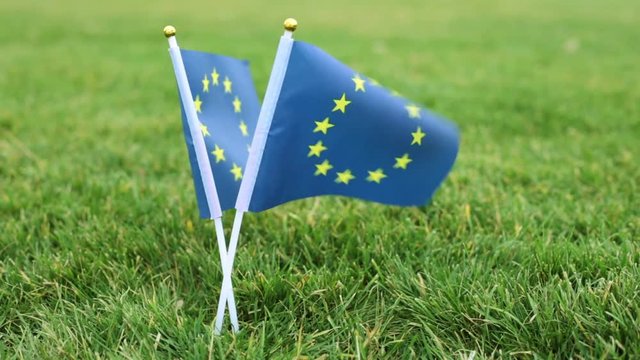 Flags of the European Union on the grass. European flag on a green lawn background.