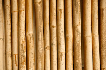 Old bamboo background, front or top view.